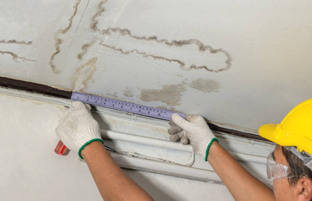 Affordable Water Damage Repair solutions in North Franklin, CT